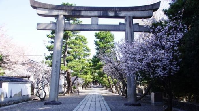2022年 4月 4日(月)の「伏見・桃山」と京都「鴨川・宮川町・高瀬川」(31)