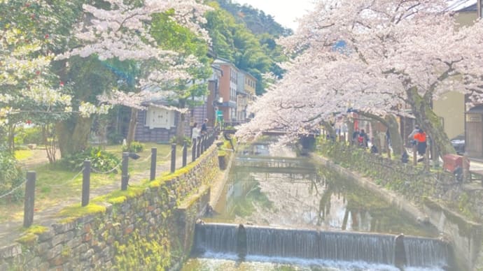 城崎にて2024年4月