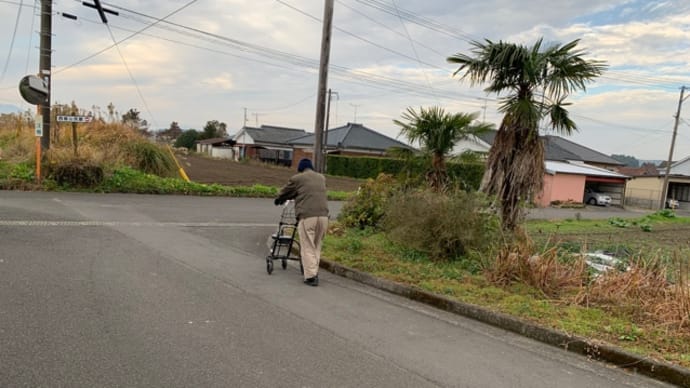よく歩いた日、1万5千歩!