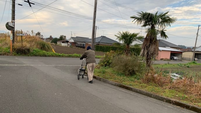 よく歩いた日、1万5千歩！