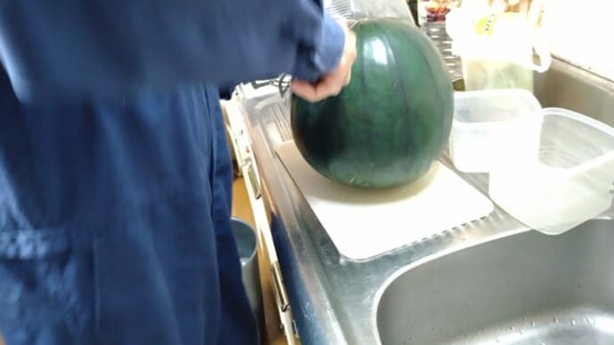 でんすけすいか② 切った!