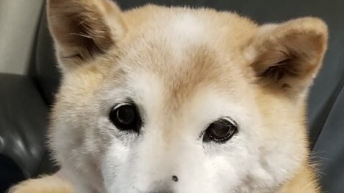 クリンへの想いは尽きなくて・・・159