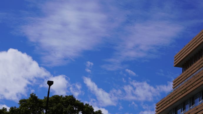 青空の散歩