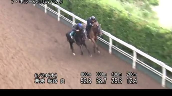 明日の新馬戦