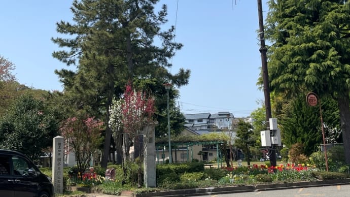 ワタシの足羽川