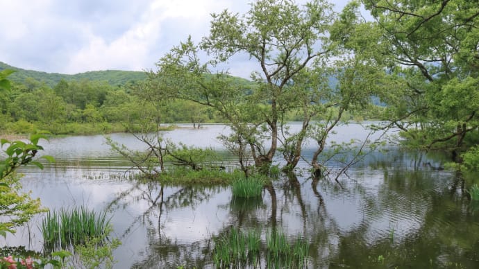 裏磐梯の風景 桧原湖の水位