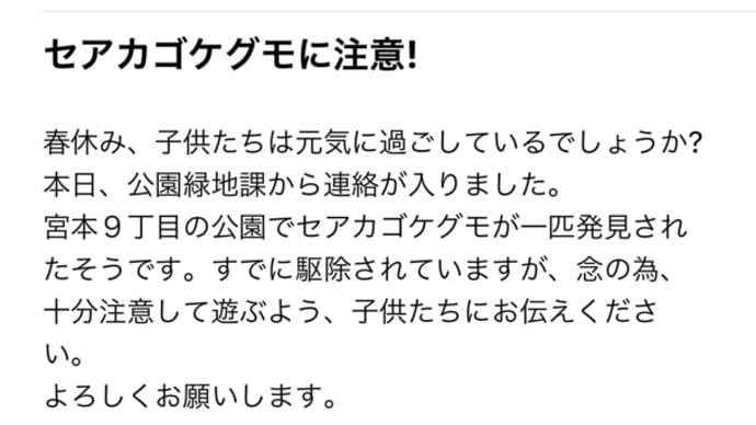 セアカゴケグモ