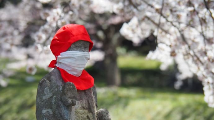 観音寺川の桜を見に行く・・・(猪苗代町)
