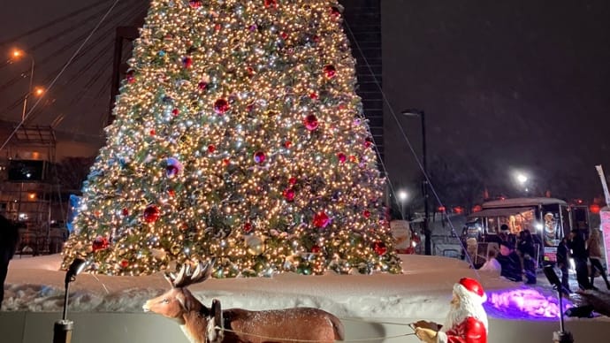 クリスマスマーケット🎄