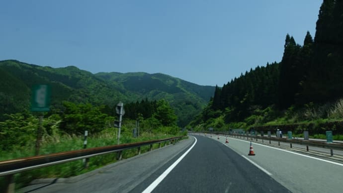 新緑のもみのき森林公園