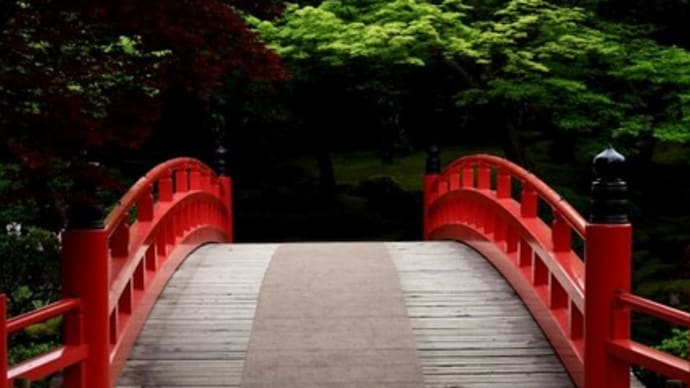 牡丹 由志園