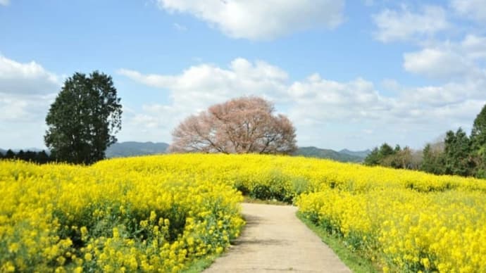 運命は自分の力で