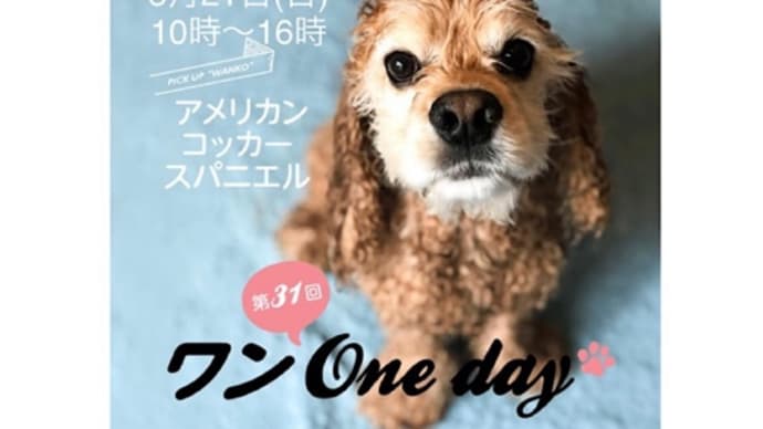 湘南T-siteイベント延期のお知らせ