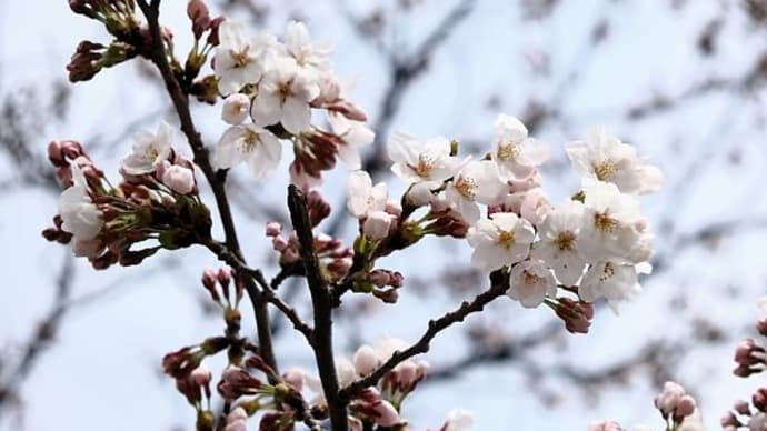 平凡すぎる日曜日