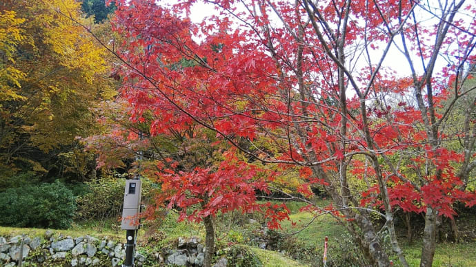 退職すると、告げられて。