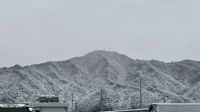 まだまだ降ってます