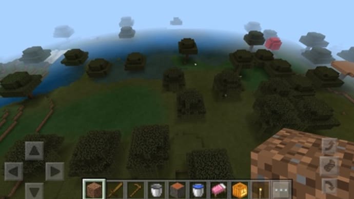 マイクラ、私は迷クラ