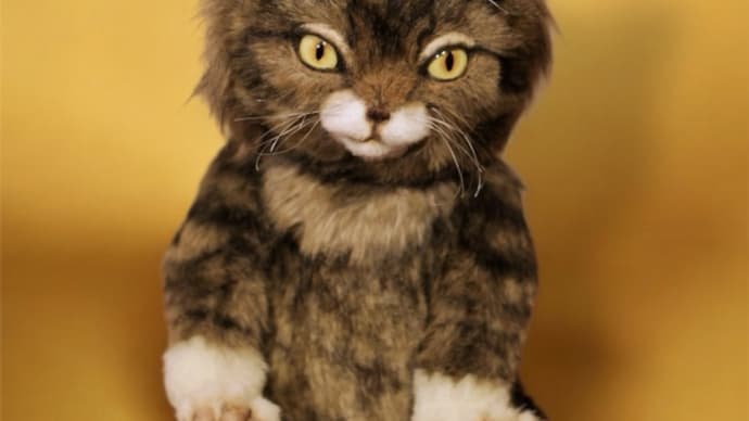 先月のお人形猫ちゃん(キジトラ)