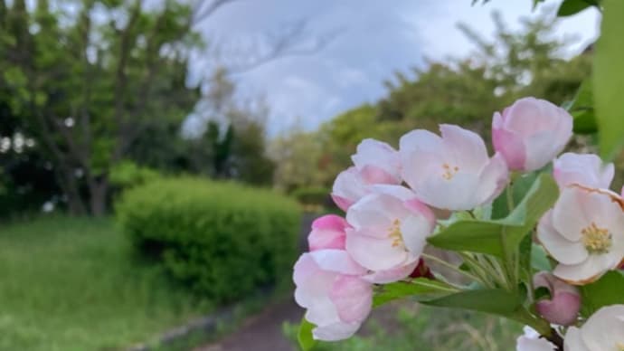 ウォーキング:遅くなってしまった💦