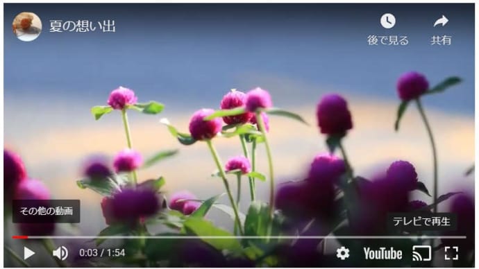 ブログ記事に貼られたYouTubeの映像をテレビで再生して見てみた。