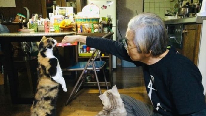チュールタイムか体操か!?
