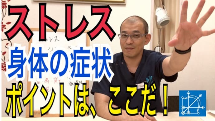 ストレスで背中の痛みで寝れない!身体の症状のポイントはここだ!【鍼灸・整体・マッサージ】渋谷区恵比寿