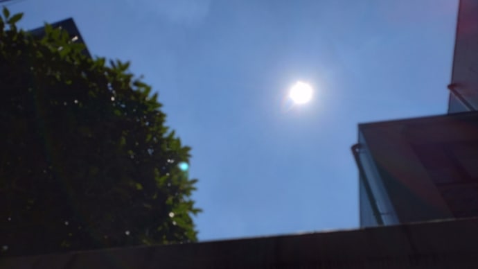 フラレッスン♪梅雨が明け猛暑到来。ホイケまであと5日。