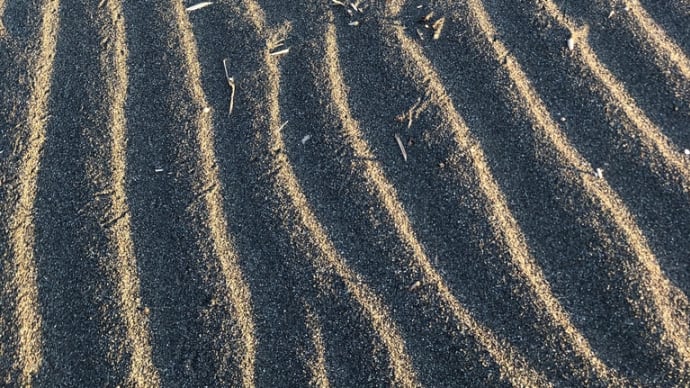 砂浜の風紋です^_^