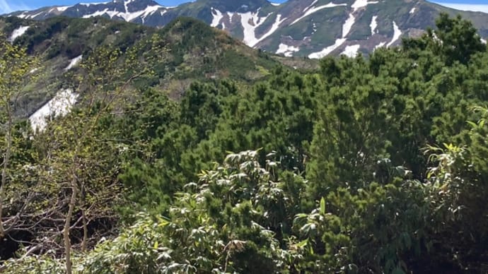 三段山1748m 崖尾根コース 2022/6/7