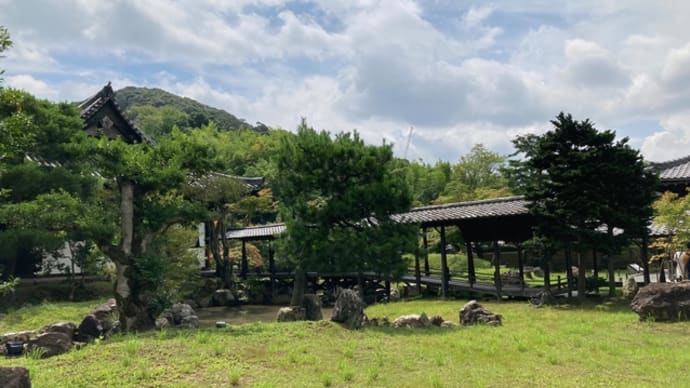 11日から3日間京都、大阪へ出かけてきました♪