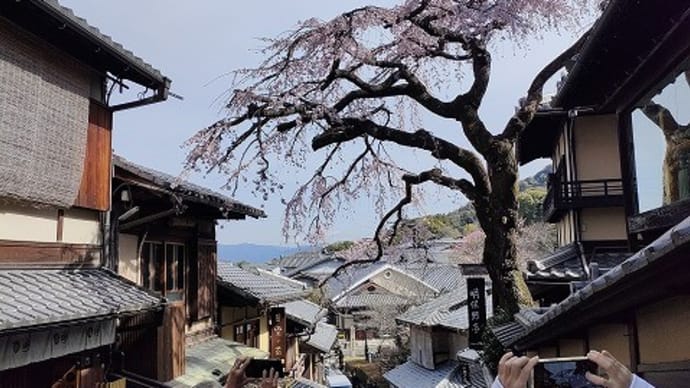 京都旅行４　八坂から祇園へ