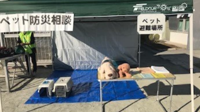 震災救援所ペット同行避難訓練などの参加報告