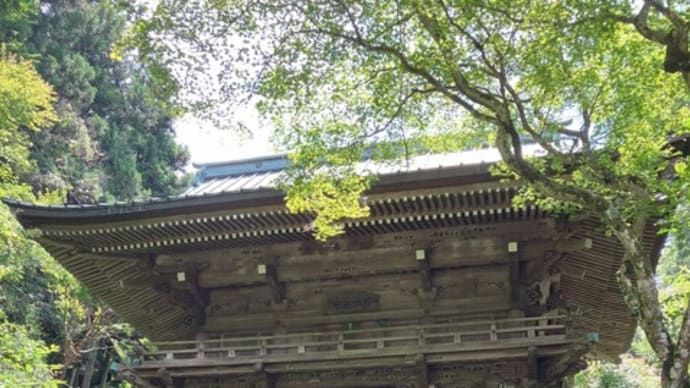 槇尾山へ