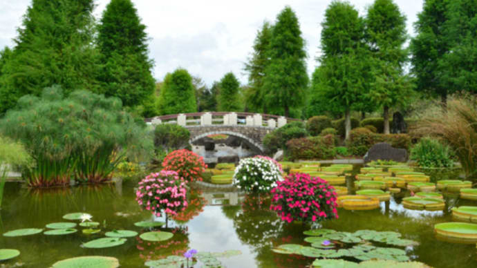 草津水生植物公園みずの森9月27日