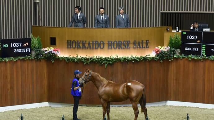 サマーセール出身馬【スマイルサルファー(Smile Sulfur)】が「くろゆり賞(3歳上重賞)」を優勝