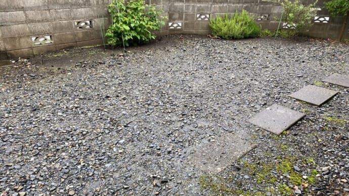 雨でざんね~~ん