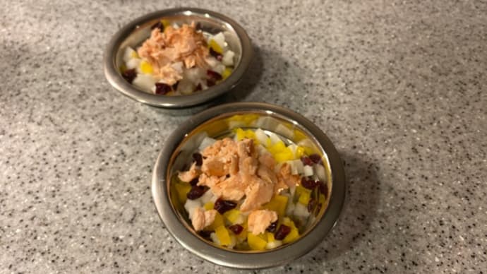 犬ごはん:MARNI、朝は食べず