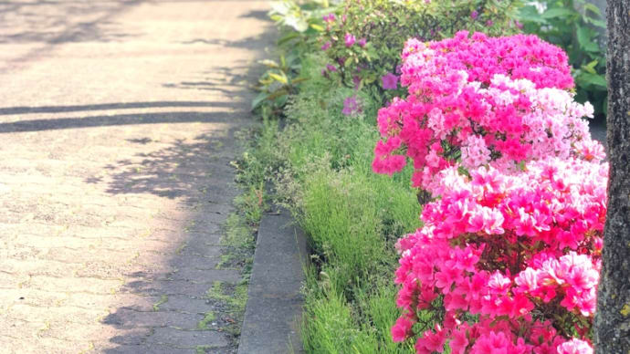 あなたの夢はなんですか?