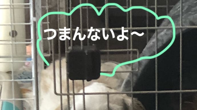 訴える