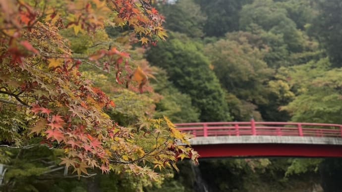 紅葉にいこうよう🎵 秋だ!収穫祭スペシャル!