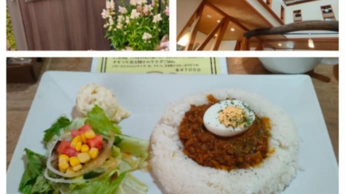 2025.4.22 リニューアルした箱庭さんでひとり美味しいランチでお腹いっぱい