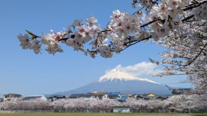 病院のランとお花見散歩