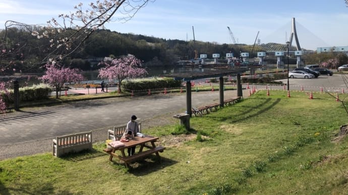 桜🈵帰ってシシ鍋