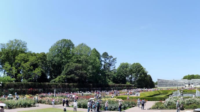 5月の神代植物公園