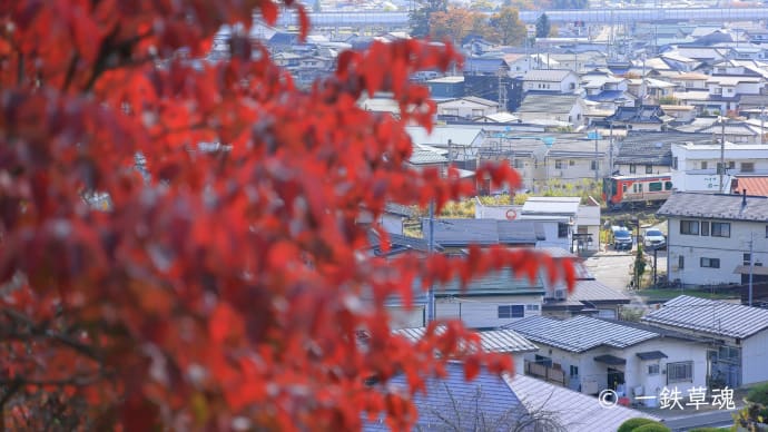 北しなの線SR-1系と紅葉