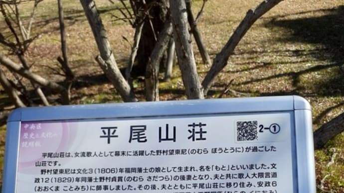 日曜日はお散歩の日？（福岡市社交ダンススタジオ・ダンススクールライジングスタースタッフより）