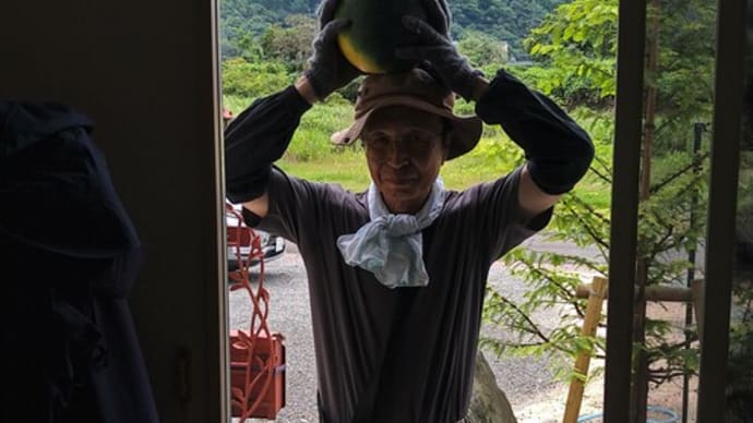 スイカだよ〜♪