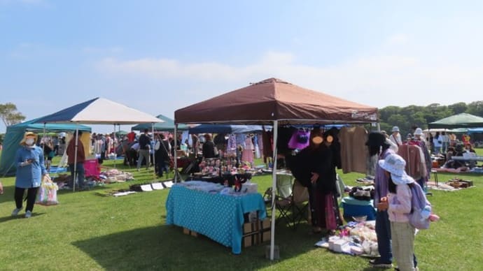 宮崎市・臨海公園フリーマーケットと我が家のバラ