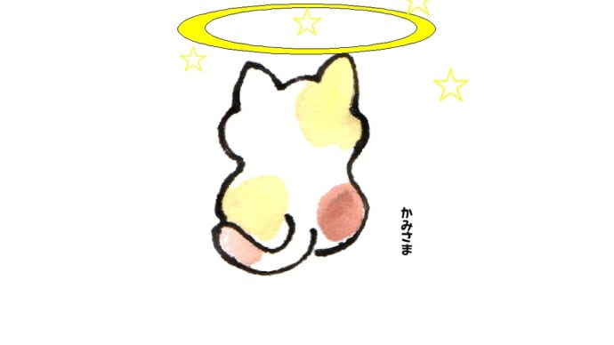 (=^・^=)