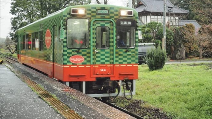 栃木県の真岡鉄道に乗ってみました・・・ 花の蒸気機関車が特定日に走る人気路線です。